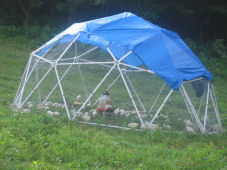 Geodesic Dome